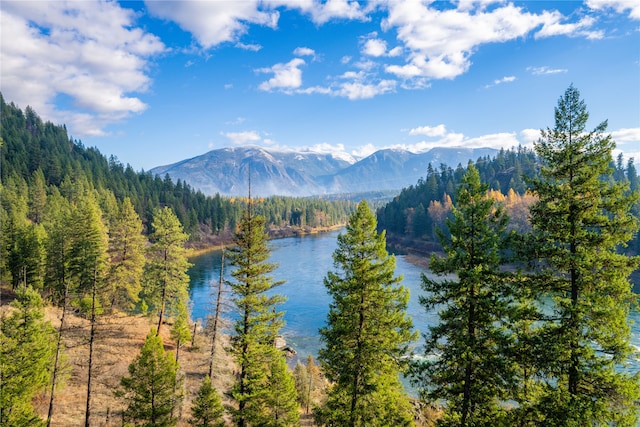 property view of water featuring a mountain view