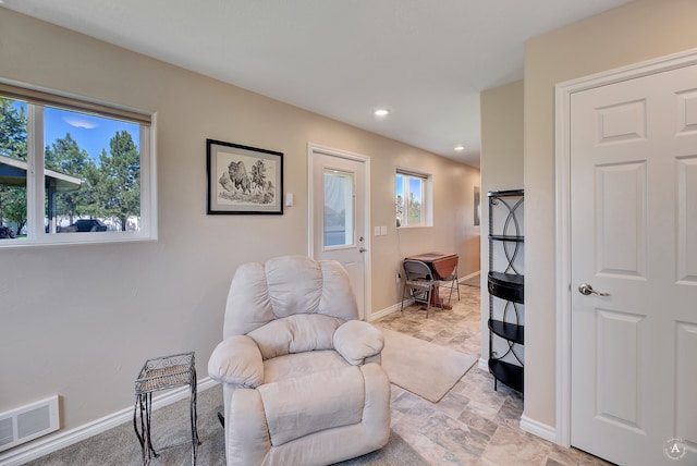 sitting room with plenty of natural light