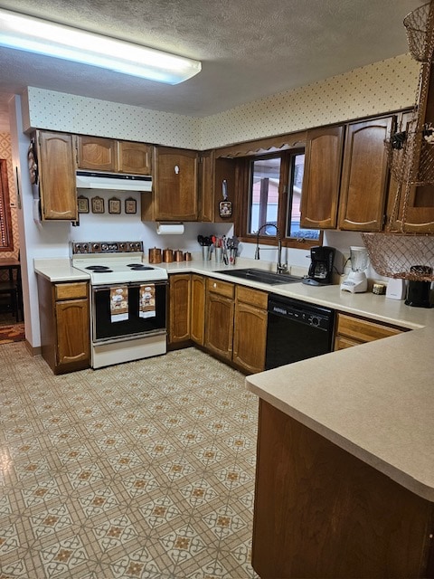 kitchen featuring sink, a textured ceiling, white electric stove, and dishwasher