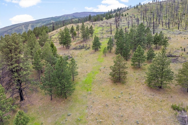 16485 Folsom Rd, Florence, MT 59833 - view of mountain background