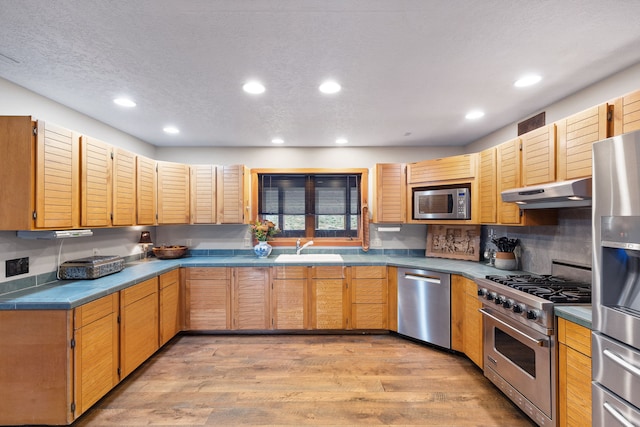 16485 Folsom Rd, Florence, MT 59833 - kitchen featuring appliances with stainless steel finishes, under cabinet range hood, a sink, light wood-style floors, and recessed lighting