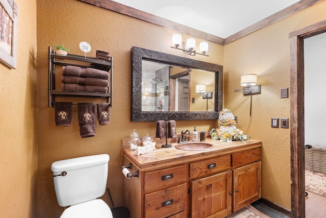 16485 Folsom Rd, Florence, MT 59833 - bathroom with toilet, vanity, and a textured wall