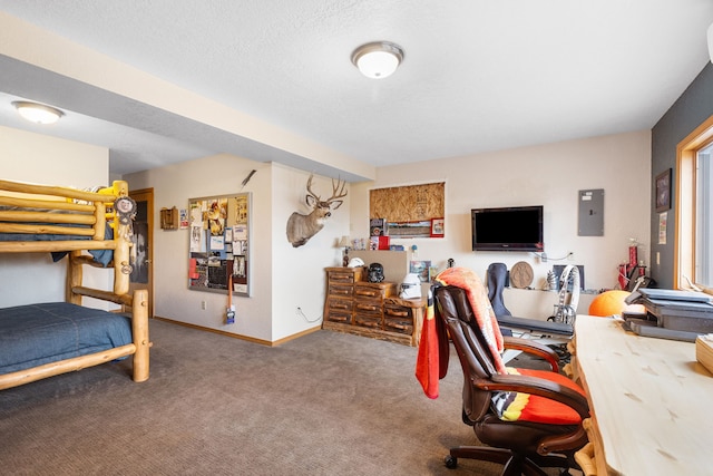 16485 Folsom Rd, Florence, MT 59833 - bedroom featuring carpet floors, electric panel, and baseboards