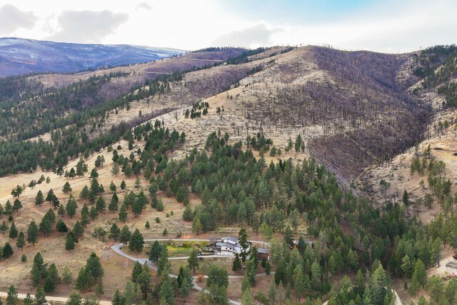 16485 Folsom Rd, Florence, MT 59833 - mountain view