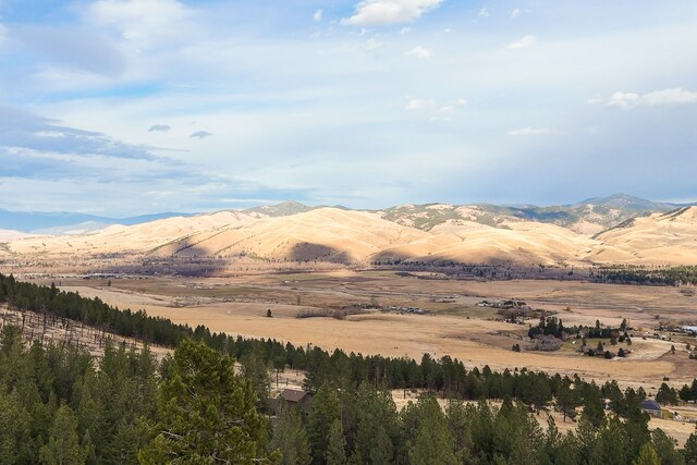 16485 Folsom Rd, Florence, MT 59833 - mountain view
