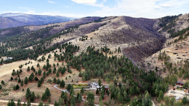16485 Folsom Rd, Florence, MT 59833 - view of mountain backdrop