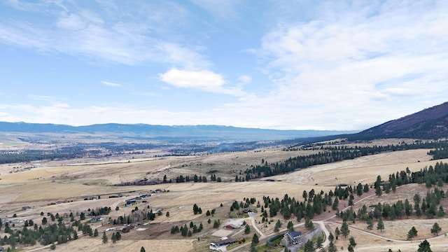16485 Folsom Rd, Florence, MT 59833 - view of mountain background