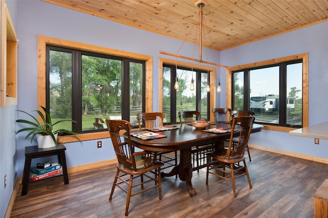 dining room featuring dark hardwood / wood-style flooring, a wealth of natural light, and wooden ceiling