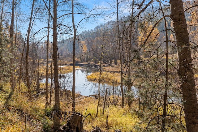 property view of water