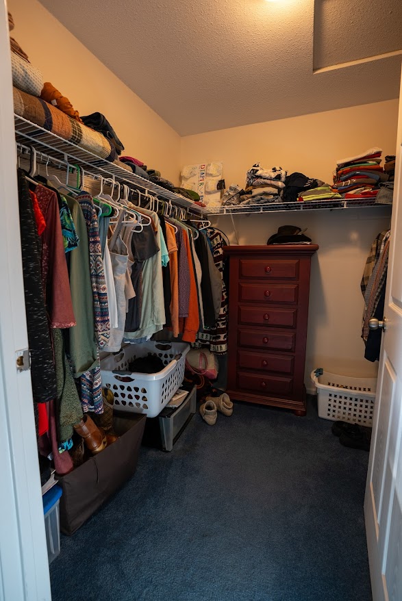 walk in closet featuring carpet