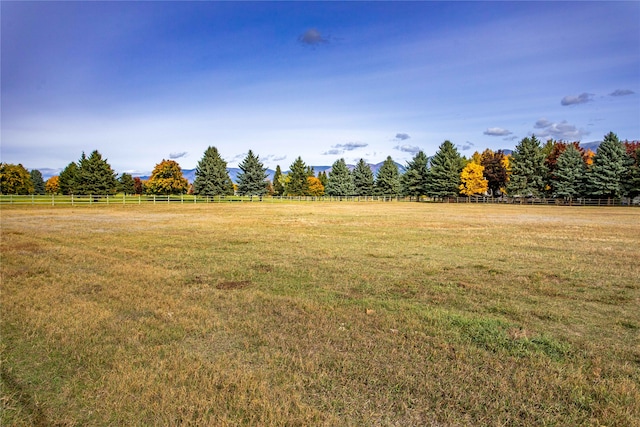 view of yard featuring a rural view