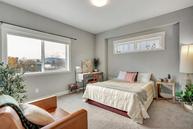 bedroom with carpet