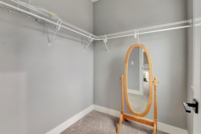 spacious closet with carpet