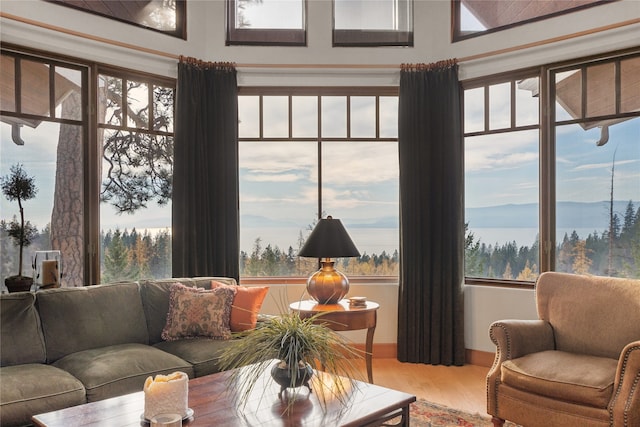 living room with hardwood / wood-style flooring