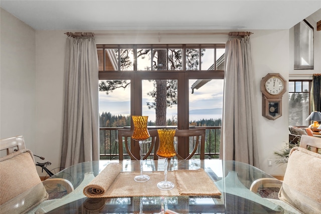 dining room featuring a healthy amount of sunlight