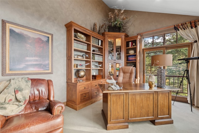 carpeted office with vaulted ceiling and plenty of natural light