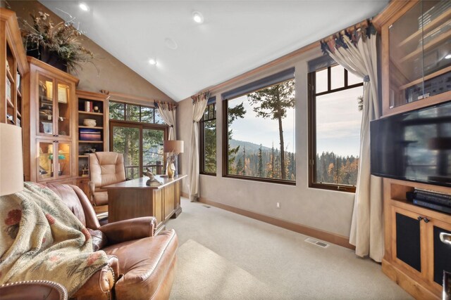 32054 Birch Tree Dr, Bigfork, MT 59911 - carpeted bedroom featuring access to outside and a high ceiling