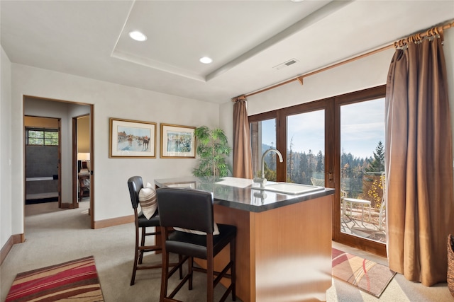 carpeted dining area with a raised ceiling and sink