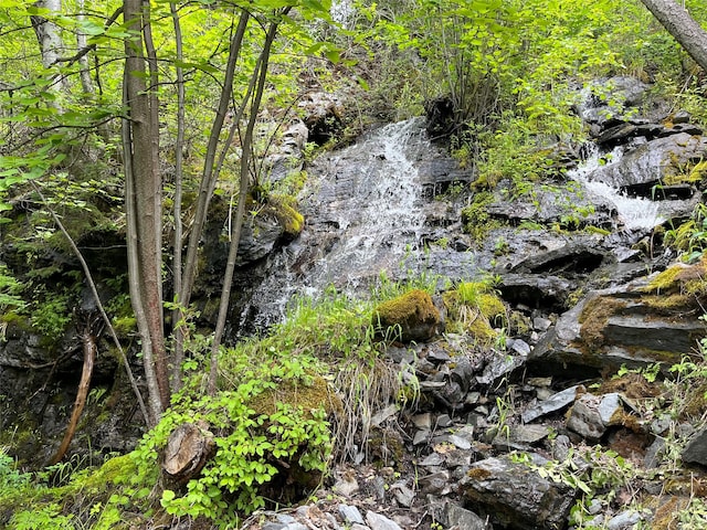 view of local wilderness