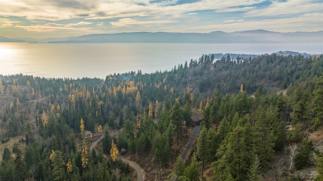 property view of mountains featuring a water view