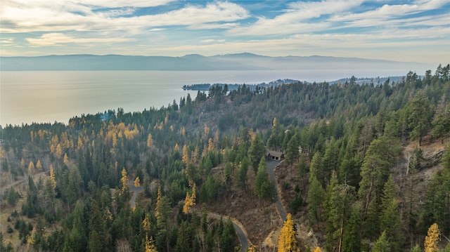 drone / aerial view featuring a mountain view