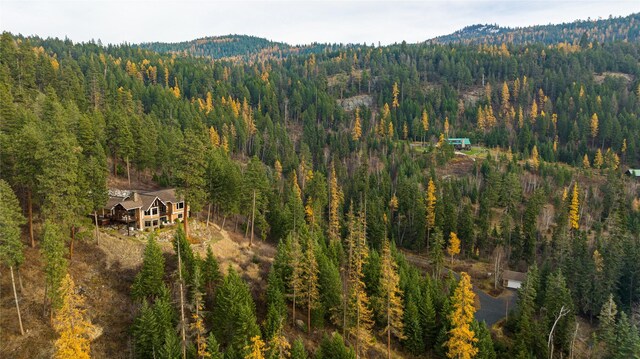 32054 Birch Tree Dr, Bigfork, MT 59911 - view of mountain backdrop with a heavily wooded area and a large body of water