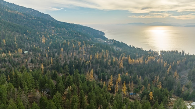 property view of mountains featuring a water view