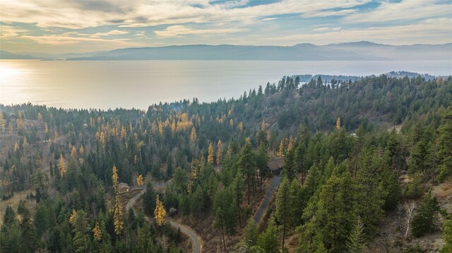 32054 Birch Tree Dr, Bigfork, MT 59911 - view of mountain backdrop with a heavily wooded area and a large body of water