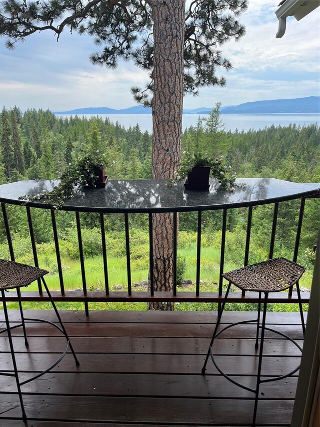32054 Birch Tree Dr, Bigfork, MT 59911 - view of home floor plan