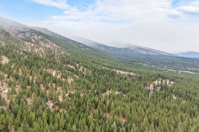 469 Owings Creek Loop, Hamilton, MT 59840 - view of mountain background featuring a heavily wooded area