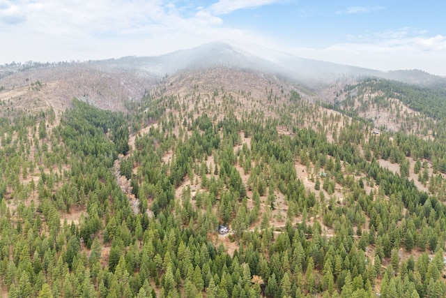 469 Owings Creek Loop, Hamilton, MT 59840 - view of mountain background with a heavily wooded area