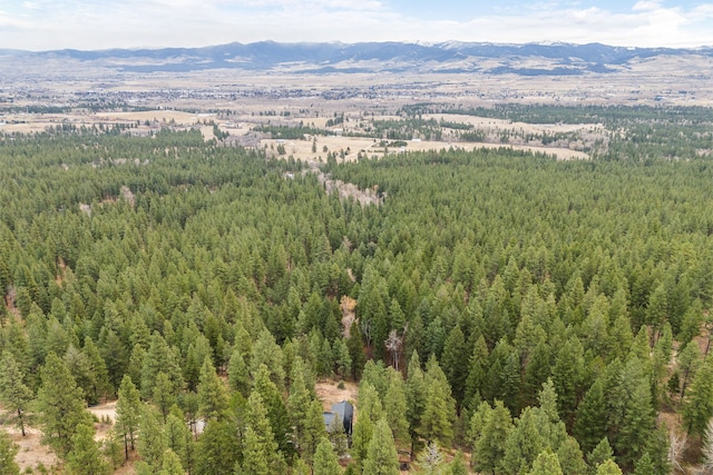 bird's eye view featuring a mountain view