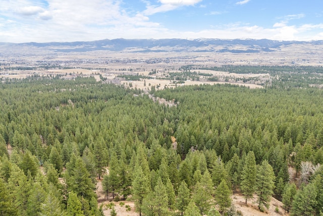 drone / aerial view with a mountain view