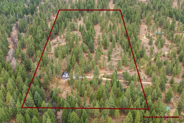 469 Owings Creek Loop, Hamilton, MT 59840 - aerial view of property's location with property boundaries highlighted
