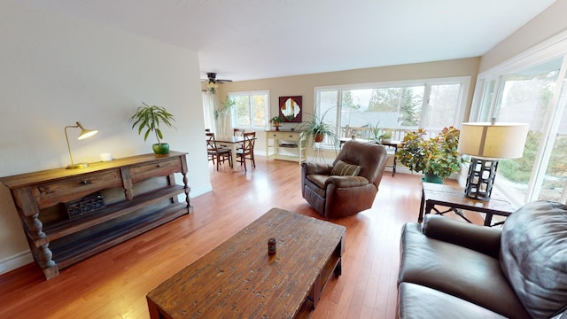 living room with hardwood / wood-style flooring and ceiling fan