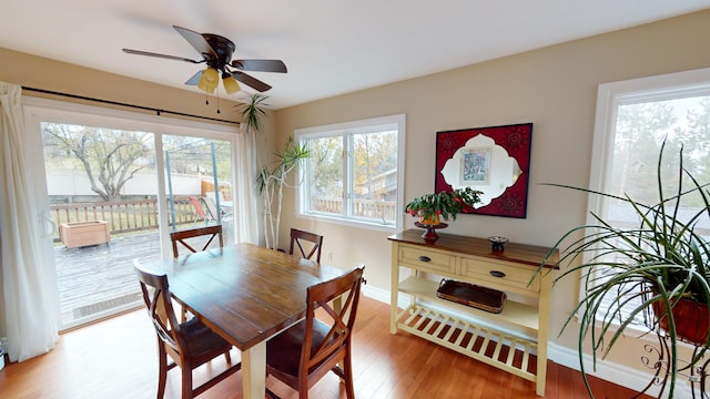 dining space with light hardwood / wood-style floors and ceiling fan