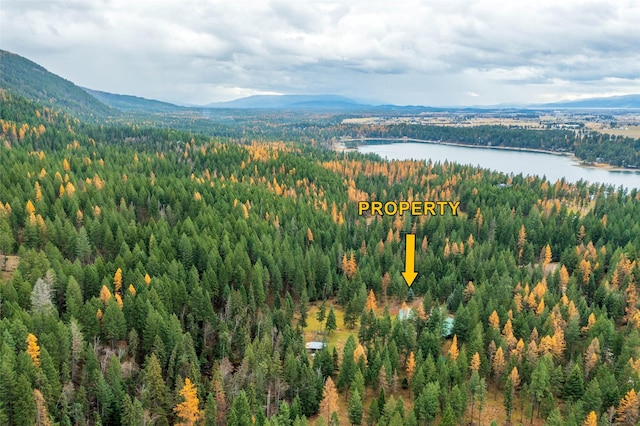 drone / aerial view featuring a water and mountain view