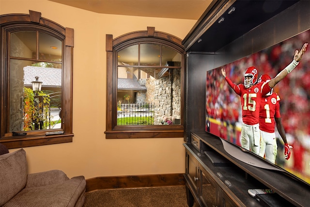 view of carpeted home theater room