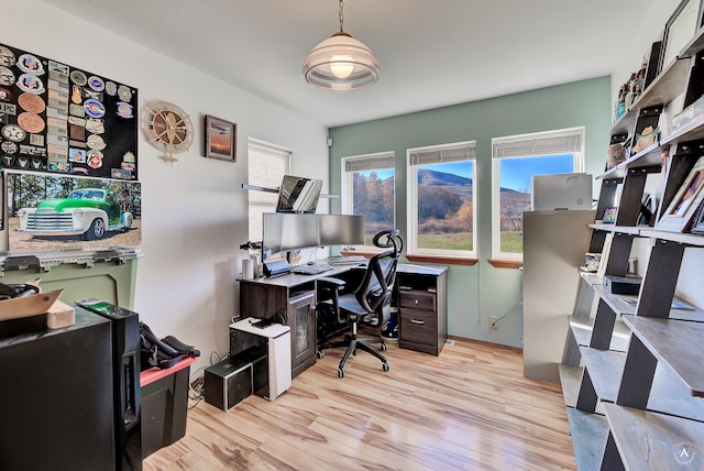 home office featuring light hardwood / wood-style flooring