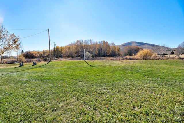 view of yard featuring a mountain view and a rural view