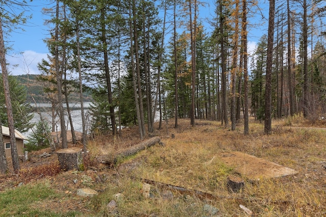 view of nature featuring a water view