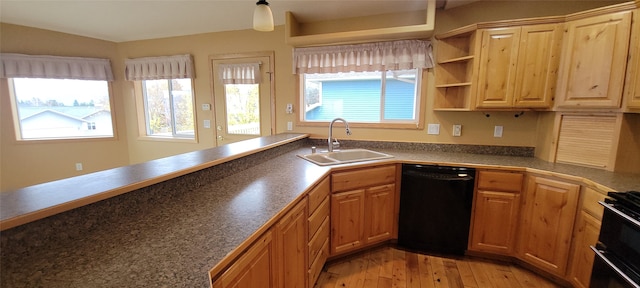 kitchen featuring black appliances, sink, and light hardwood / wood-style flooring