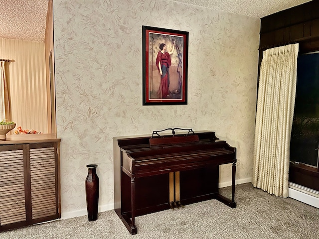 miscellaneous room featuring carpet and a textured ceiling