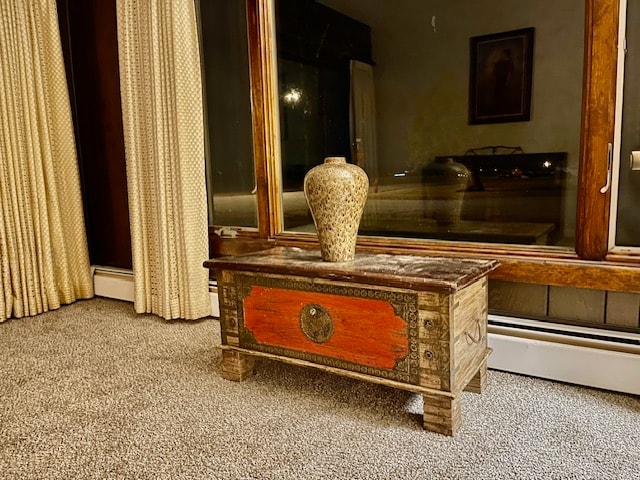 living area featuring carpet