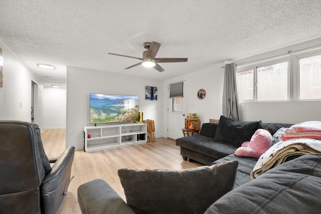 121 Mill Ave, Whitefish, MT 59937 - living area with wood finished floors, a textured ceiling, and a ceiling fan