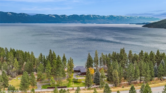 view of water feature with a mountain view