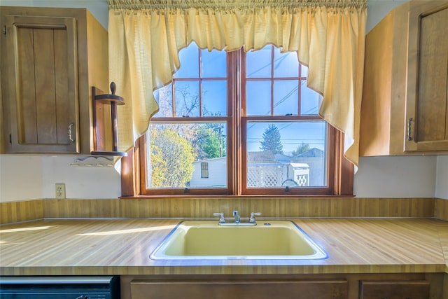 200 N 5th St, Hamilton, MT 59840 - kitchen featuring a sink, dishwashing machine, and light countertops