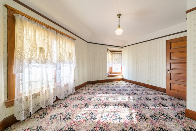 spare room featuring carpet