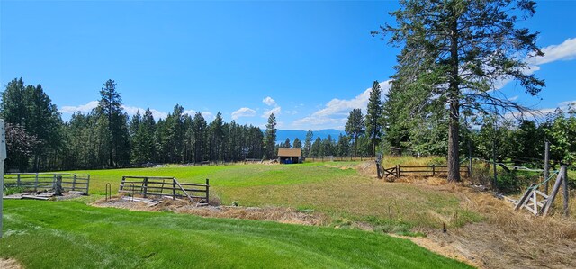 view of yard with a rural view