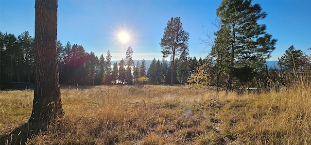 view of landscape